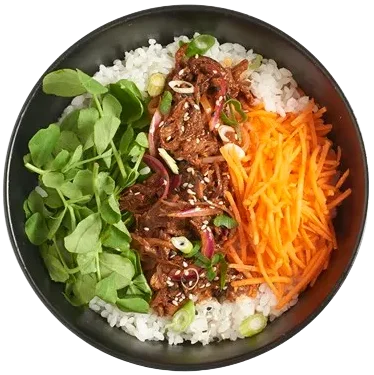 Beef Teriyaki Donburi