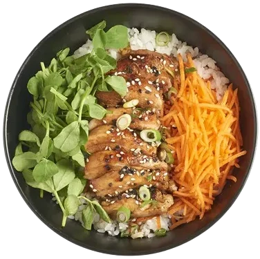 Chicken Teriyaki Donburi