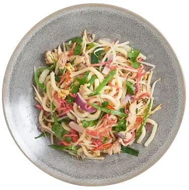 Ginger Chicken Udon