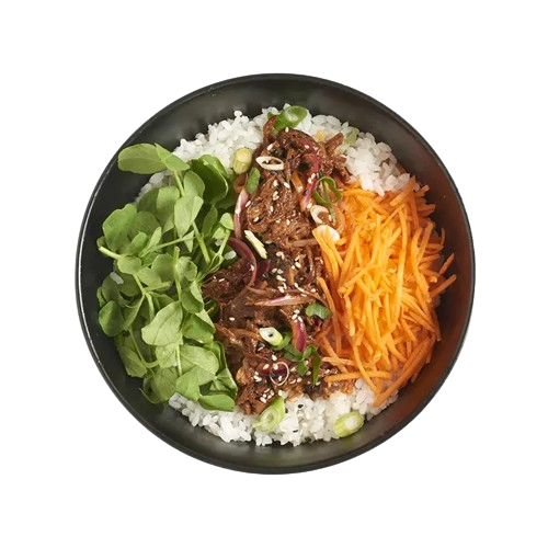 Teriyaki Beef Donburi