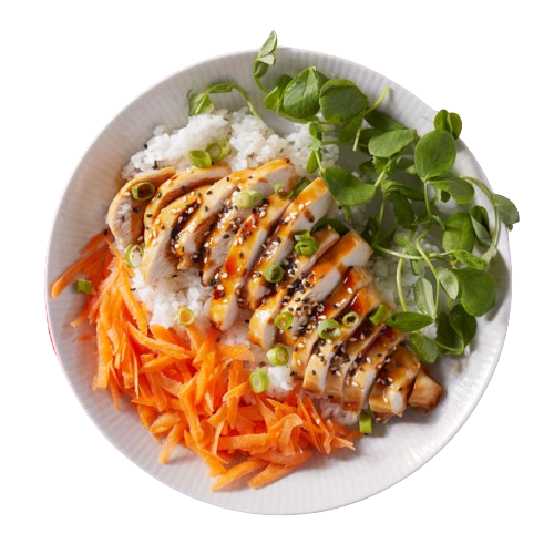 Teriyaki Chicken Donburi