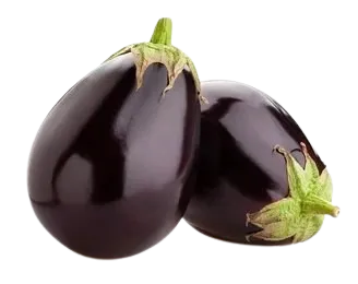 Aubergine