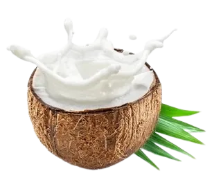 Coconut milk