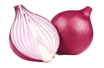 Onion