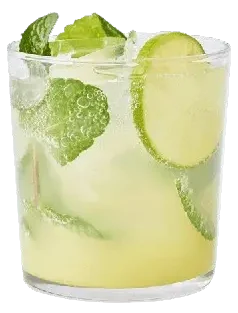 ginger no-jito